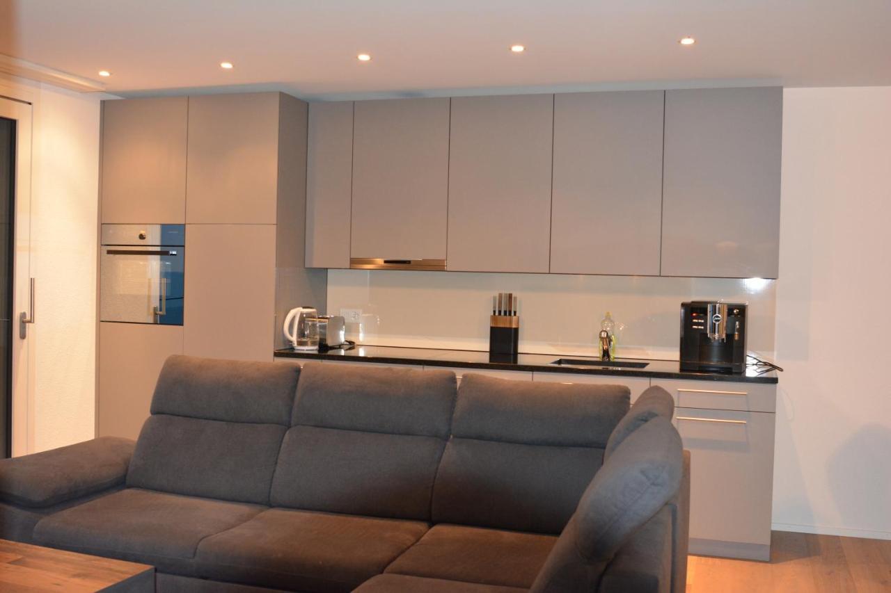 Brand New Apartment Surrounded By Nature Schattdorf Екстериор снимка